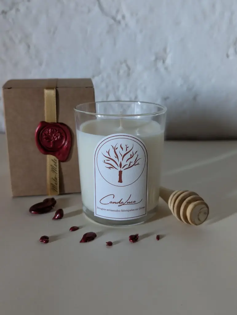 Bougie MELA-MELE (pomme-miel) 180g