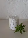 Bougie VERVEINE 180g