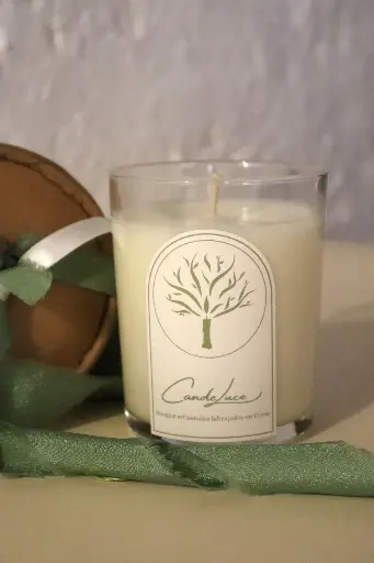 Bougie ALOE VERA 180g